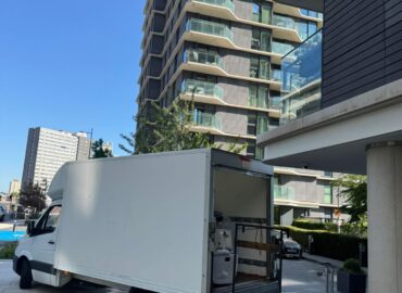 International Moving