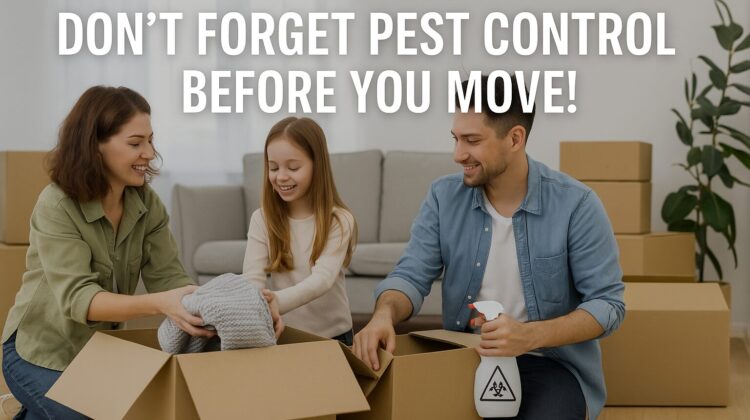 pest control before move